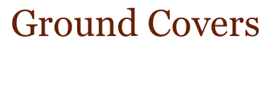 Ground Covers