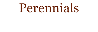 Perennials
